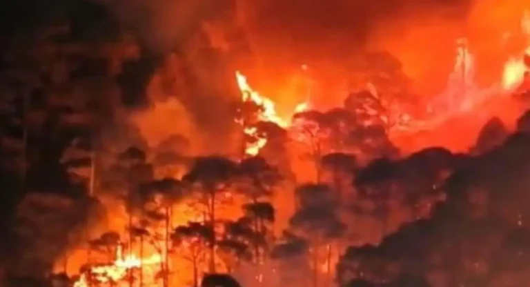 Uttarakhand Fire: उत्तराखंडमधील जंगलात लागलेल्या वणव्यांवर हवाई दलाने मिळवले नियंत्रण