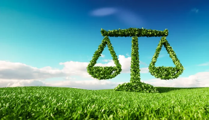 Environmental Laws in India: पर्यावरणाविषयी 'हे' महत्त्वाचे कायदे तुम्हाला माहिती आहेत का?