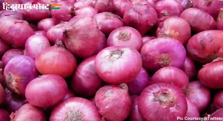 Onion Export : कांदे निर्यातीवर ४० टक्के निर्यात शुल्क